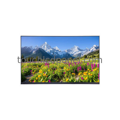 comprare 11.6 pollici 400 nit Luminosità Interfaccia eDP Pannello TFT-LCD con Risoluzione 1920x1080 e 72% Color Gamut online manufacture