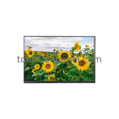 Pannello LCD da 10.1
